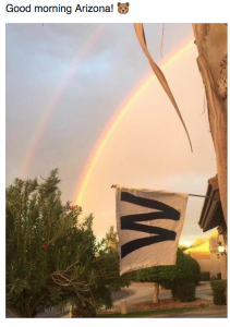 cubs-win-it-all